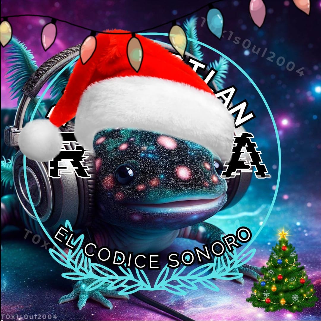 Entrevista a la Profa Angélica Torres sobre la jornada navideña