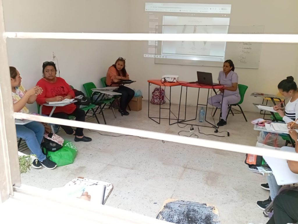 Diplomado Plantas Medicinales 1024x771