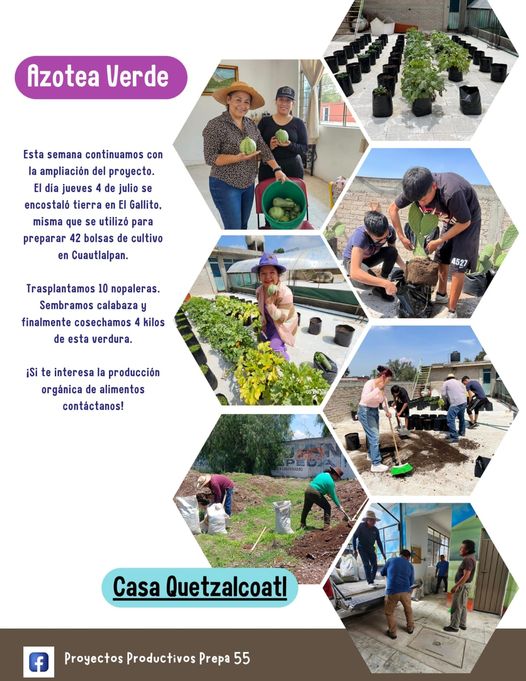 Ampliamos la azotea verde en Casa Quetzalcoátl Azotea Verde Cu Casa Quetzalcoatl