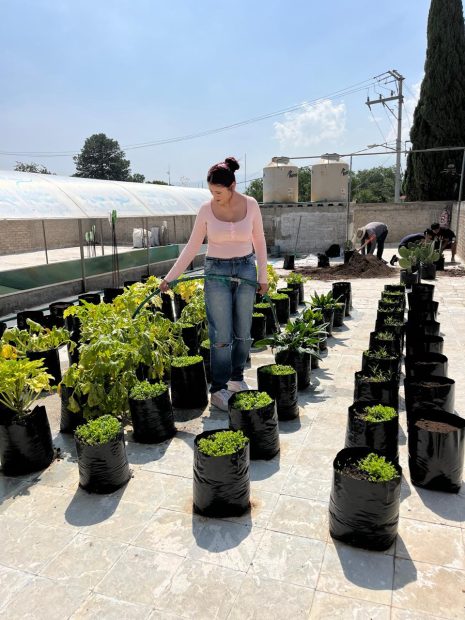 Ampliamos la azotea verde en Casa Quetzalcoátl