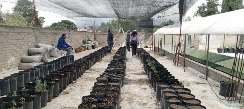 Instalacion Cuquetzalcoatl 1024x460