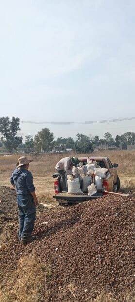 Sustrato del “gallito” para nuestra azotea verde