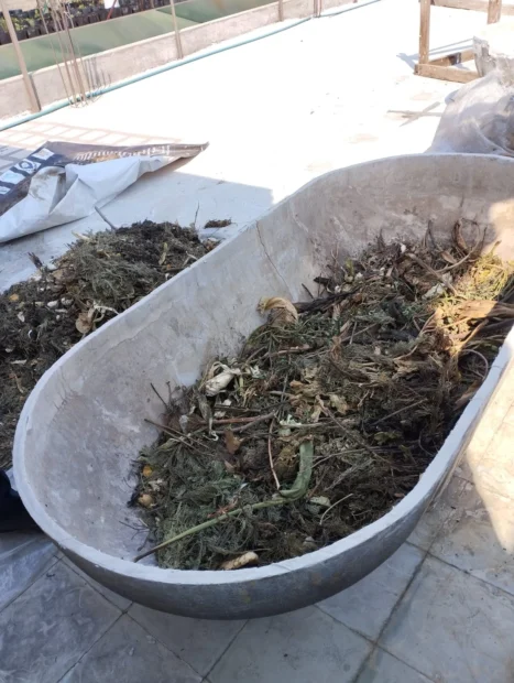 Iniciamos camas para lombricomposta